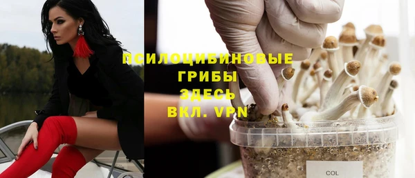 2c-b Абдулино
