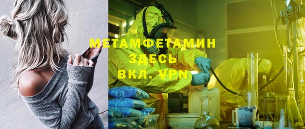прущие грибы Михайловск