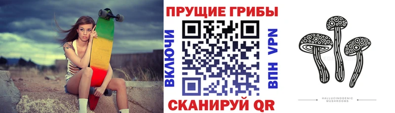 Галлюциногенные грибы Psilocybine cubensis  Киров 